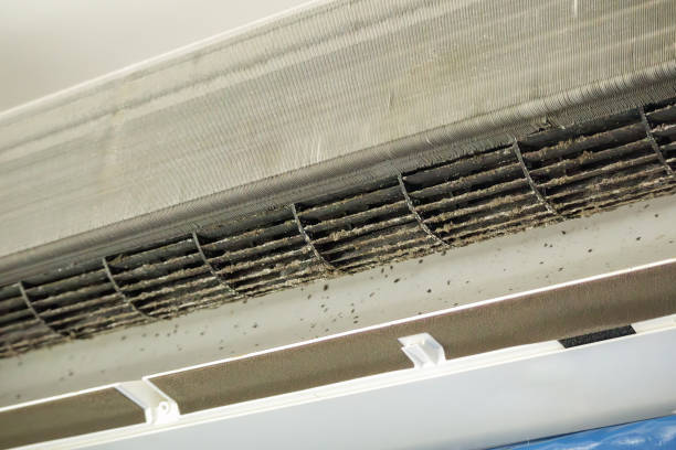 Best Ductwork Cleaning Services  in Zebulon, GA